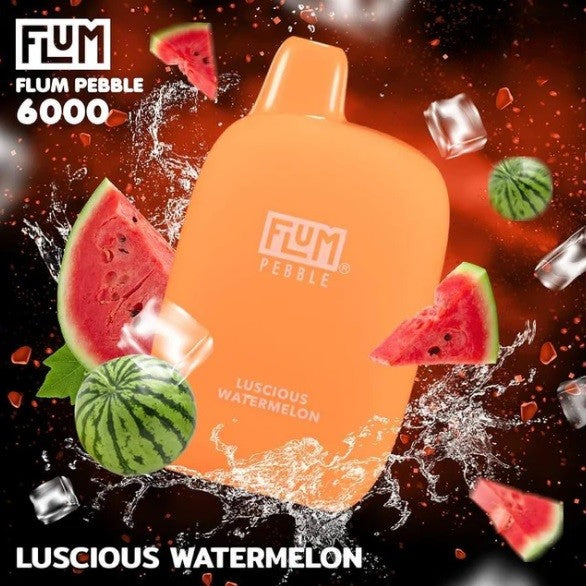 FLUM PEBBLE 6000 Puff Disposable Vape